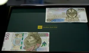 Czy w NBP można kupić walutę? Oto, co musisz wiedzieć!