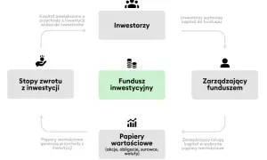 Czy fundusze papierów dłużnych inwestują w akcje? Oto prawda, którą musisz znać