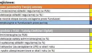 Ubezpieczeniowy fundusz kapitałowy – co warto wiedzieć o ryzyku i zyskach